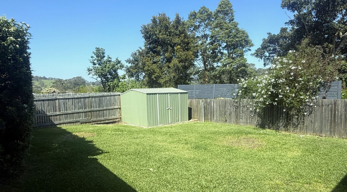 Back yard