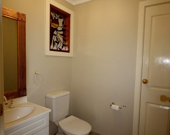 Downstairs toilet