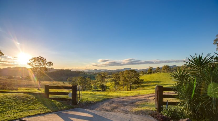 View from Driveway