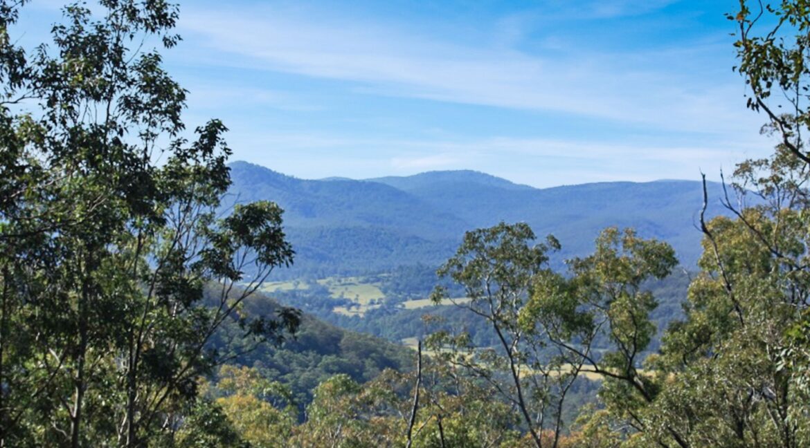 view2